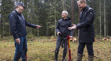 Apple-Chef Tim Cook pflanzt Bäume in Iggesund