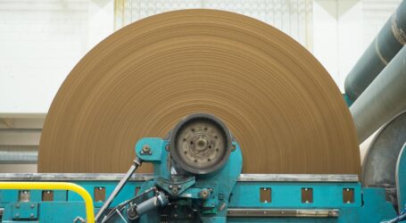 Papierindustrie fordert rasche Entlastungen
